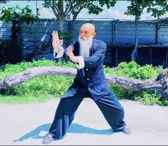 Shi Xing Ying